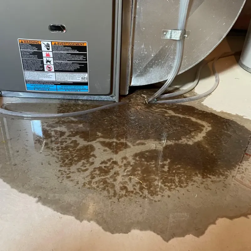 Appliance Leak Cleanup in Winchester Center, CT